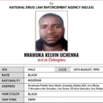 2027: We May Hold Mock Presidential Poll, Audit Our Tech Systems – INEC