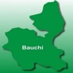 2027: Bawa Seeks Southern Kaduna Support To Challenge APC